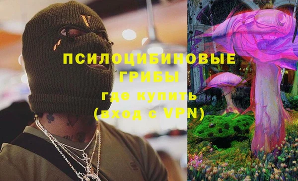 тгк Медвежьегорск