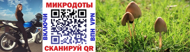 Псилоцибиновые грибы MAGIC MUSHROOMS  цена   Наволоки 